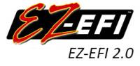 EFI Systems & Components - F.A.S.T. EFI SYSTEMS - SELF TUNING EFI -  EZ-EFI (2.0)