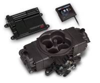 EFI Systems & Components - Holley EFI SYSTEMS - Holley Terminator Stealth EFI Systems