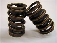 Comp Cams - Comp Cams Dual Valve Springs, Solid Roller CCA-943-16