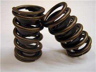 Comp Cams - Comp Cams Dual Valve Springs, Flat Tappet CCA-986-16