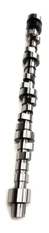 Lunati - Lunati Voodoo Hydraulic Roller Cam, Replicates the LUN 20510711