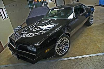 Restore A Muscle Car's 1977 Trans Am Special Edition Cover