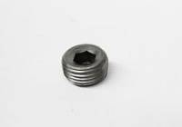 Butler 1/4" Pipe Plug, Steel PIO-PP567