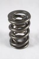 PAC 1.550 Dual Race Springs Set/16 PAC-1244-16