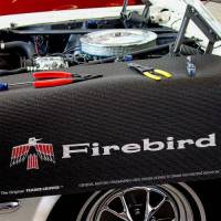 Holley - FENDER GRIPPER PONTIAC FIREBIRD MAT - Image 3