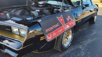 Butler Performance - Pontiac Logo Fender Protector - Image 6