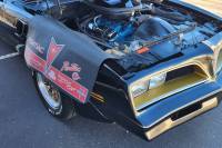 Butler Performance - Pontiac Logo Fender Protector - Image 9