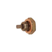 Canton Universal Magnetic Drain Plug, 1/2"-20 