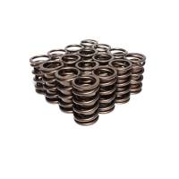 Lunati Dual Springs, Hyd Roller (Set) LUN-73949-16