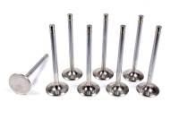 Ferrea High Performance Stainless Steel Exh Valve (Set) *For #306 Early 1962 421 SD Heads* FER-F1885PM166-8