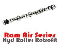 Butler Exclusive Pontiac Ram Air IV "041" Hydraulic Roller Retrofit Camshaft, 287/296 232/241, .507/.541 HR113