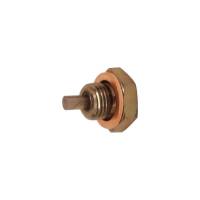 Canton Universal Magnetic Drain Plug, 1/2"-20 